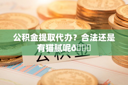 眉县公积金提取代办？合法还是有猫腻呢😏